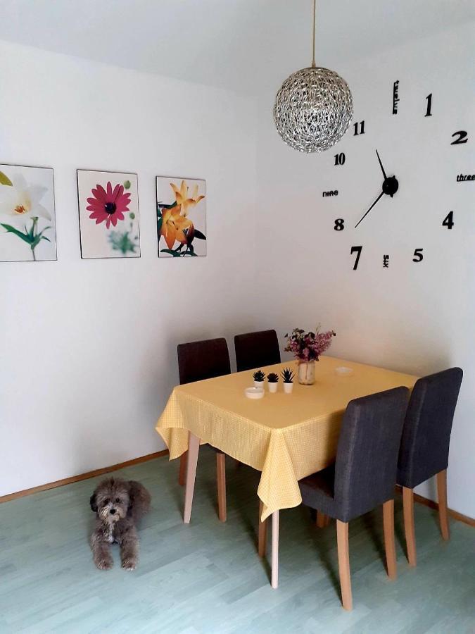 Apartman Danube Нови Сад Екстериор снимка